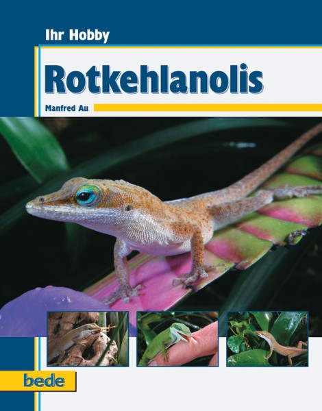 Ihr Hobby Rotkehlanolis