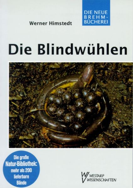Blindwühlen