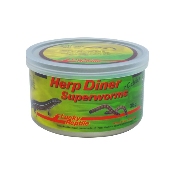 Lucky Reptile Herp Diner Super Worms