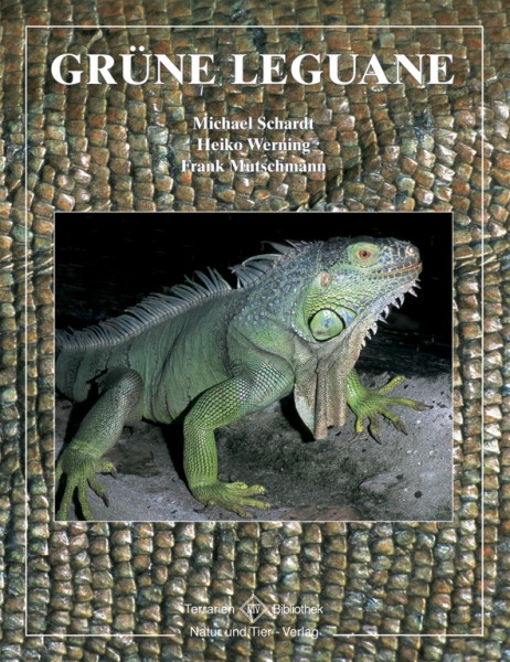 Grüne Leguane