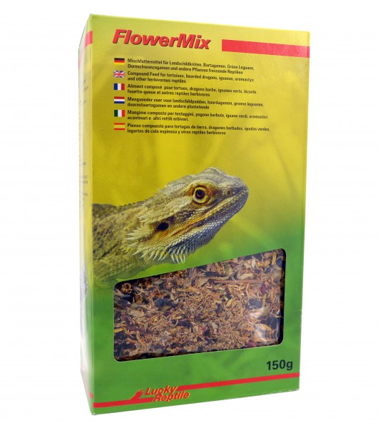 Lucky Reptile Flower Mix