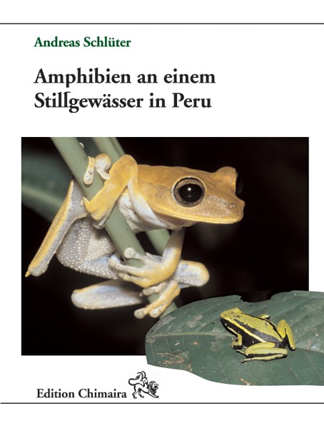 Amphibien an einem Stillgewässer in Peru