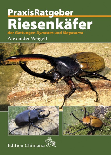 Praxisratgeber Riesenkäfer Dynastes und Megasoma