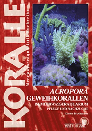 Geweihkorallen - Acropora im Meerwasseraquarium