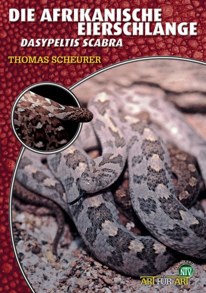 Die Afrikanische Eierschlange