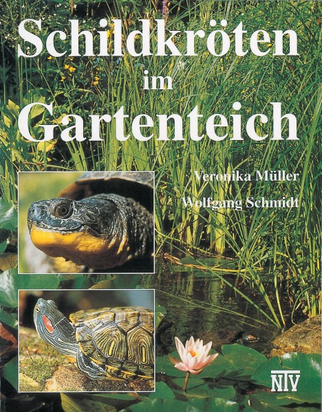 Schildkröten im Gartenteich