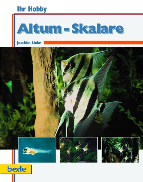 Ihr Hobby Altum Skalare