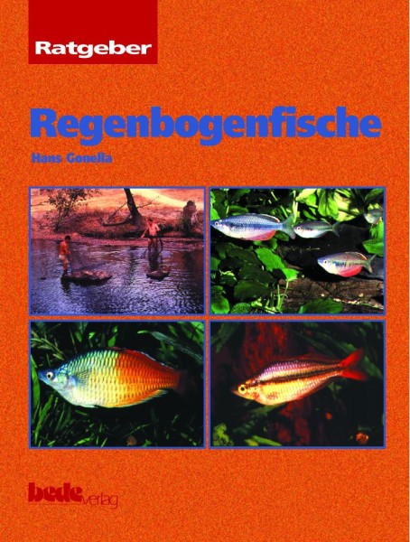 Ratgeber Regenbogenfische