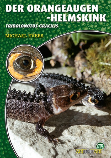 Der Orangenaugen Helmskink