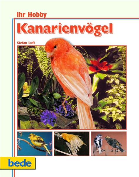 Kanarienvögel